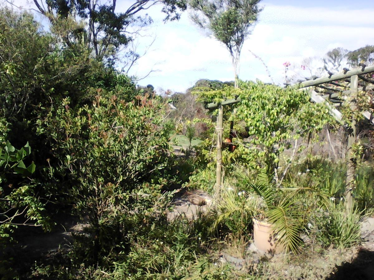 Forest Cove Cottage Knysna Eksteriør bilde